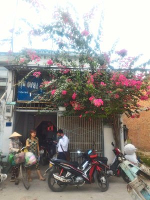 Cần tiền bán gấp nhà ở Trung Chánh, Hóc Môn