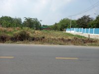 Đất 2 mặt tiền 20m x 60m đường nhựa xã Phú hòa đông huyện củ chi