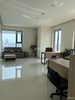 Cho thuê căn hộ - văn phòng giá ưu đãi tại Phú Mỹ Hưng Quận 7, DT 34-330m2