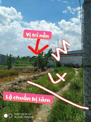 Bán nền hẻm nhánh Nguyễn Thị Tạo thích hợp xây nhà trọ , Long Hòa, Bình Thủy, Cần Thơ.