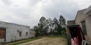 Bán đất bê tông chính Điện Nam Trung