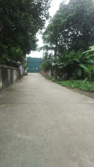 Bán đất thôn Hành Lạc, thị trấn Như Quỳnh, Văn Lâm, Hưng Yên, 50m2