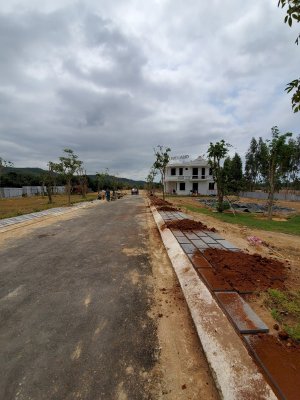 Bán đất nền mặt tiền đường khu vực thị xã Phú Mỹ