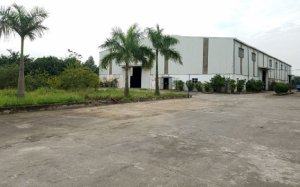 Bán nhà xưởng tại Mỹ Hào Hưng Yên 7000m khuôn viên đất 1,5ha