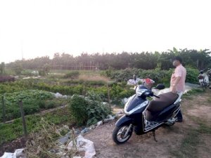 Bán 1000m2 Đất sổ hồng tại huyện Quốc Oai Hà Nội, 800 triệu