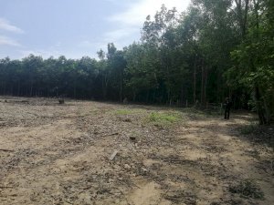 Cần tiền bán gấp lô đất sào giá rẻ khu vực xã Phước Bình,Long Thành
