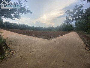 Kẹt tiền cần bán lô Đất sào tại xã Phước Bình Long Thành giá rẻ: