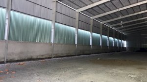 Cho thuê kho xưởng mới xây đang hoàn thiện mặt tiền Bình Chuẩn, TX. Thuận An