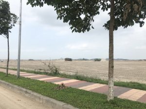 Bán đất trong Khu công nghiệp tỉnh Bắc Ninh, phân lô từ 1ha, giá từ 80$/m2.