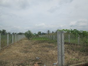 Bán đất vườn trồng rau sạch kết hợp nghỉ dưỡng gần Sài Gòn