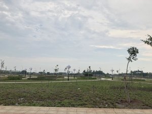 Cần bán lô đất đối diện KCN Bàu Xéo. Cách quốc lộ 1A 500m. sổ riêg thổ cư có sẵn.