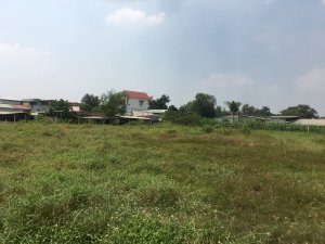 Đất xã Tân Thạnh Đông , Củ Chi : diện tích 2500 m2, giá 5 triệu/m2