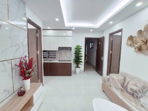 Mở bán chung cư mini Đại Cồ Việt – Bạch Mai –Thanh Nhàn hơn 800 triệu/căn ở luôn