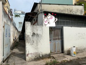 7m x 22m, sổ hồng 150m2 thổ cư, gần chợ Tân Tiến, Biên Hòa ( có 8 phòng trọ )