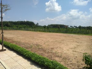 Đất mặt tiền khu dân cư xã Bình An