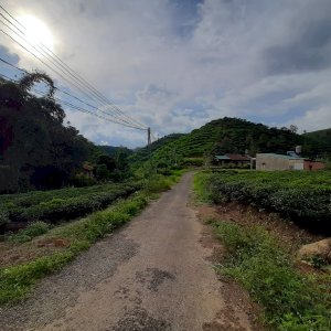 Bỏ phố về quê Lâm Đồng mua đất Bảo Lộc