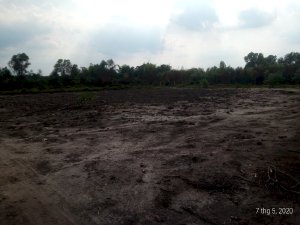 Đất vườn 61m x 65m thuộc xã Phú Hòa Đông,Củ Chi