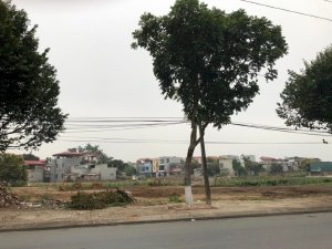 Bán Đất Liền Kề 74m Mặt Phố Trần Đăng Tuyển, Vũ Ninh, TP Bắc Ninh_3.1 Tỷ