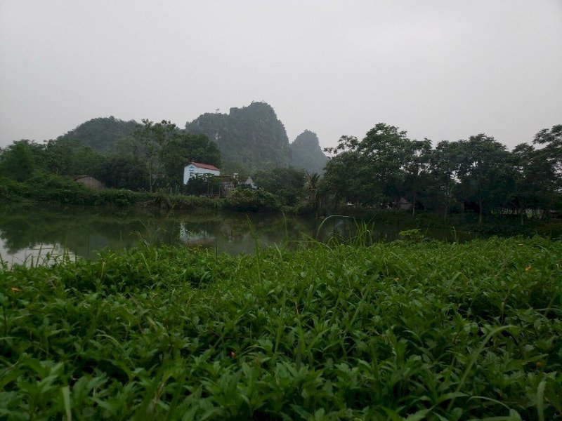 Bán lô đất phù hợp làm nghỉ dưỡng, tại Hợp Châu, Lương Sơn, giá tốt.