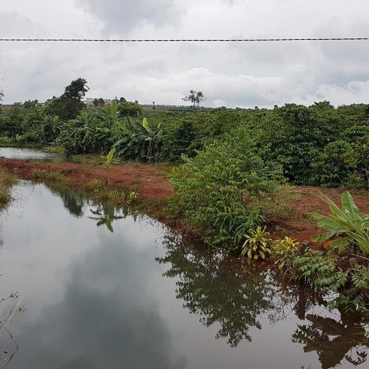 Bán đất Bình Long view sông ,view suối mát mẻ gần 3 cụm KCN