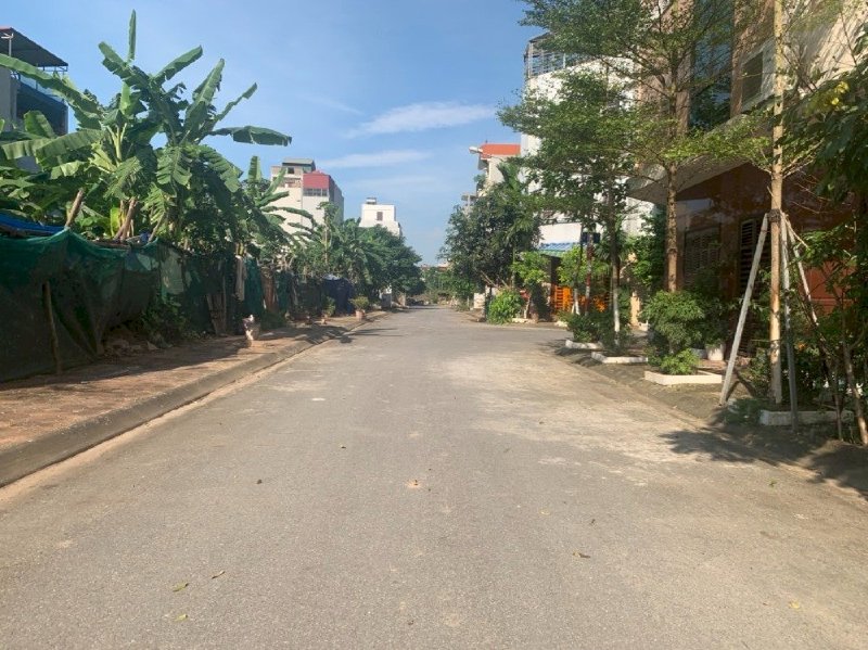 Bán đất cứu doanh nghiệp, 247m đất khu biệt thự M3 31ha Trâu Quỳ, sát ngay quận ủy Gia Lâm