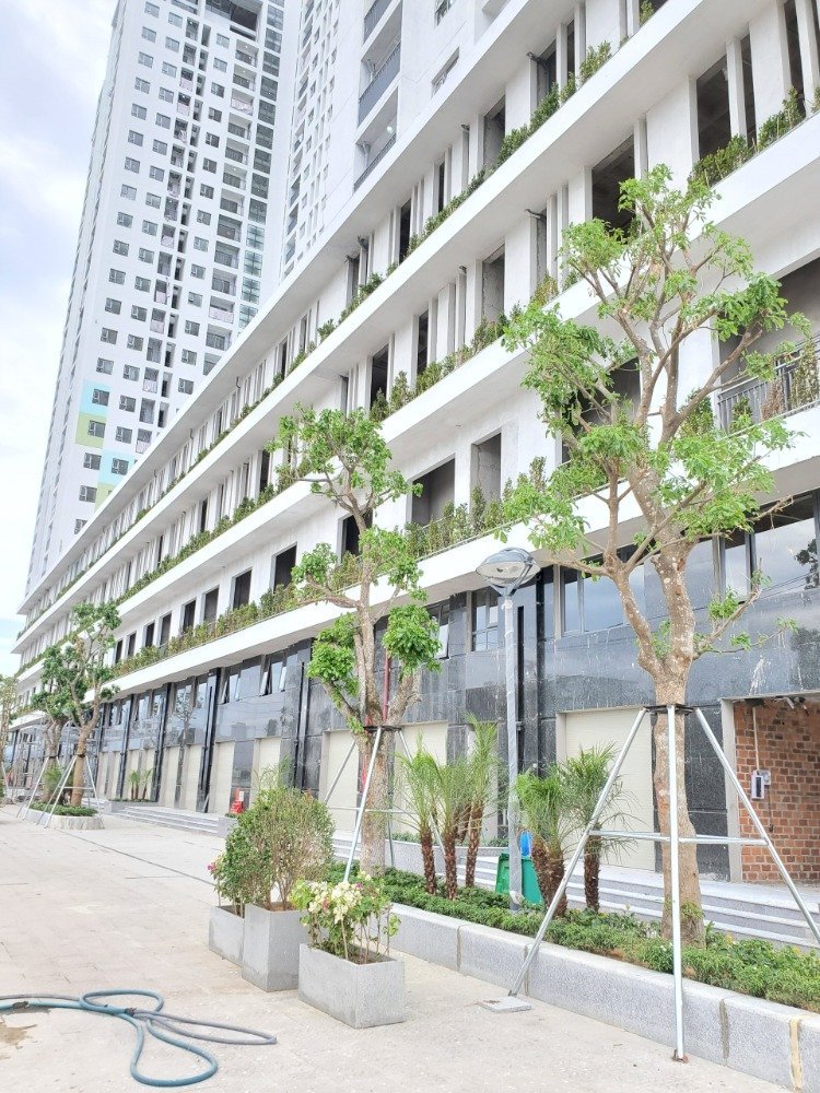 Bán căn hộ -chung cư - nhà ở tại trung tâm thành phố Quy Nhơn 