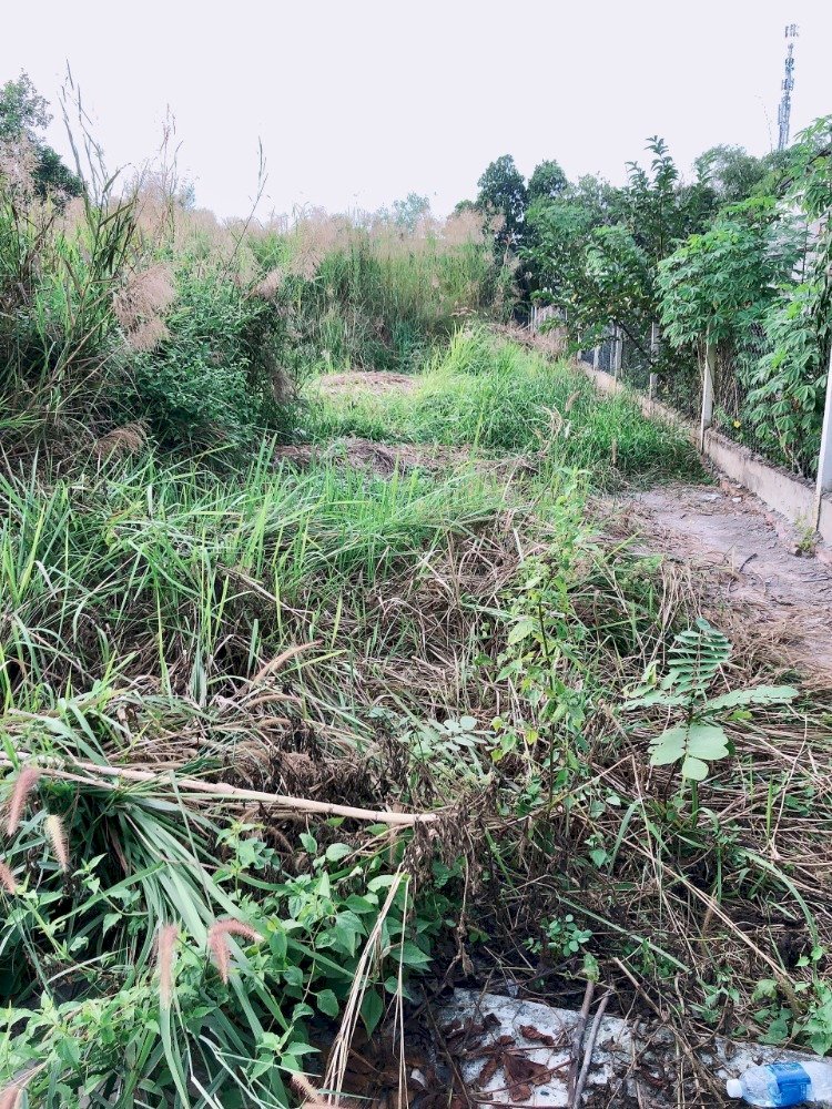 Bán đất nở hậu, view sông, đối diện KCN Đông Nam xã Bình Mỹ, Củ Chi