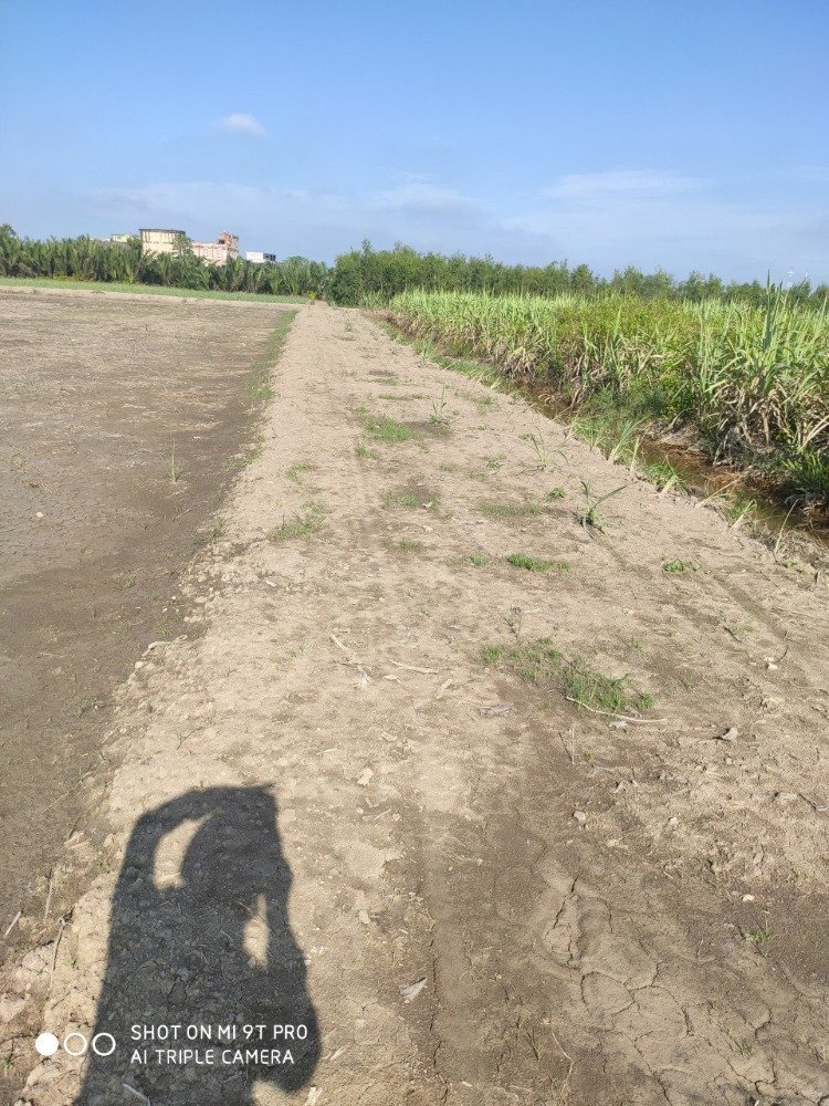 Bán đất trồng cây lâu năm giá tốt, đường oto đến đất xã Phước Khánh