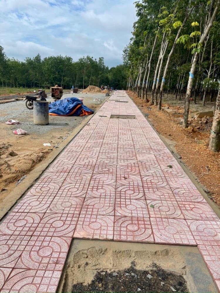 Cần bán đất mặt tiền Tân Phước giá 600 triệu và chiết khấu 40 triệu