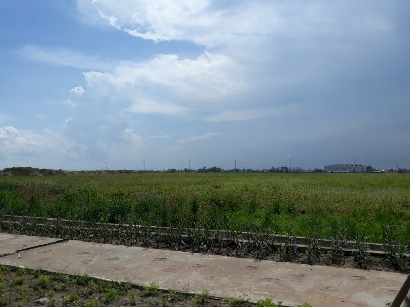 Đất KCN Yên Phong, dt 2ha, bàn giao ngay, mua trực tiếp CĐT Viglacera