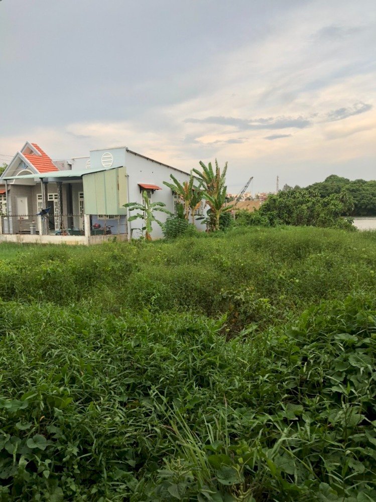Bán gấp 743,2 m2 đất Hiệp Hòa, Biên Hòa, Đồng Nai.