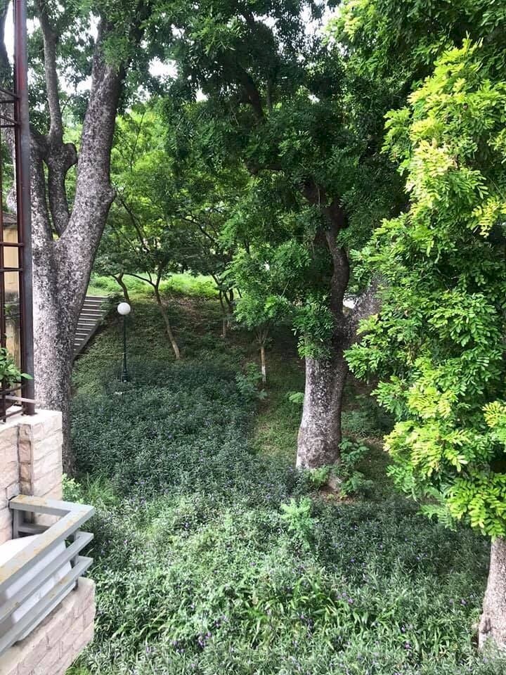 Bán Biệt Thự Sân Vườn Phố Tây Sơn, Quận Đống Đa, Ecopark Thu Nhỏ, Giá Chỉ 6. Xx Tỷ