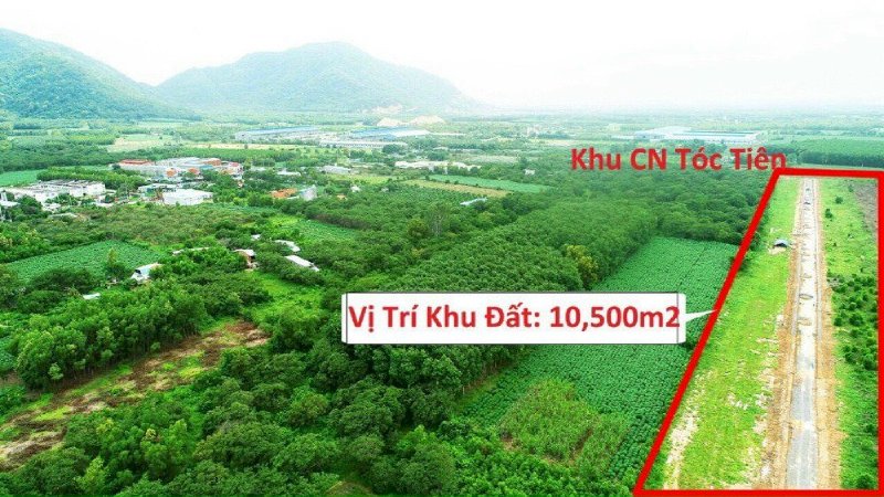 Chính chủ Bán Đất 1,5 ha Mặt tiền Hắc Dịch - Tóc Tiên, Phú Mỹ BRVT.