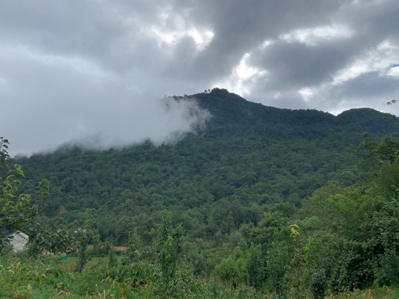 Bán lô đất 6000m tại thôn Mò Phù Chải. Mặt tiền 100m,view đẹp!