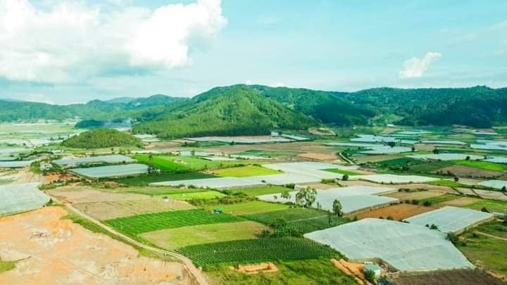 Bán Đất Ka Đơn - dốc tình sao mai view nghĩ dưỡng