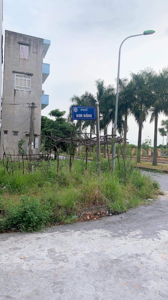 Bán đất mặt đường 13.5m Kim Đồng, KĐT An Phú, TP HD, 120m2, mt 8m, hướng nam
