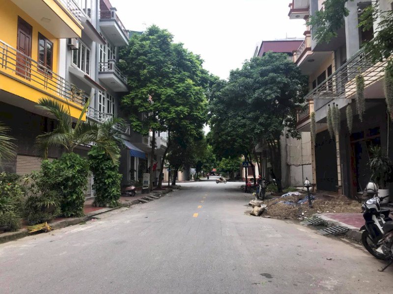 Bán đất mặt phố Lê Đình Vũ, Đông Nam Cường, TP HD, 87.75m2, mt 4.5m, hướng đông nam, giá tốt