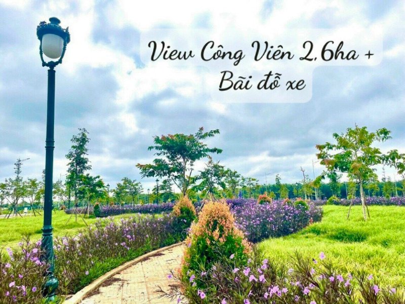 Siêu Phẩm Đất Nền Dự Án Khu Đô Thị Ân Phú, Buôn Ma Thuột, Đắk Lắk 