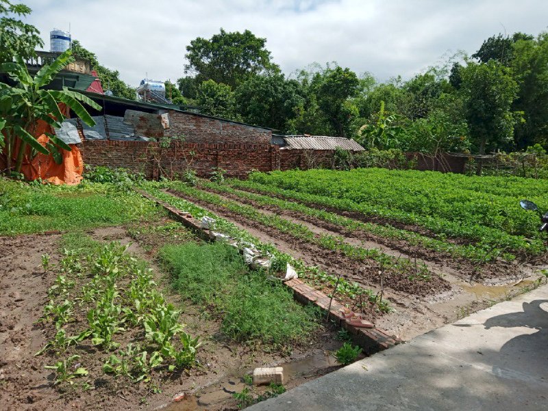Chính chủ cần bán lô đất sổ đỏ tại Yên Xá Phường Phan Đình Phùng, thị xã Mỹ Hào, Hưng Yên