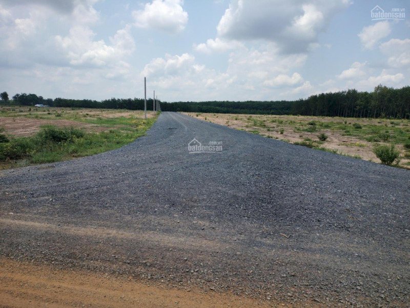 Chỉ 393nghìn/m2, dt hơn 1000m2, sổ sẳn, đất lên thổ bình thường, Lộc Ninh, Bình Phước.