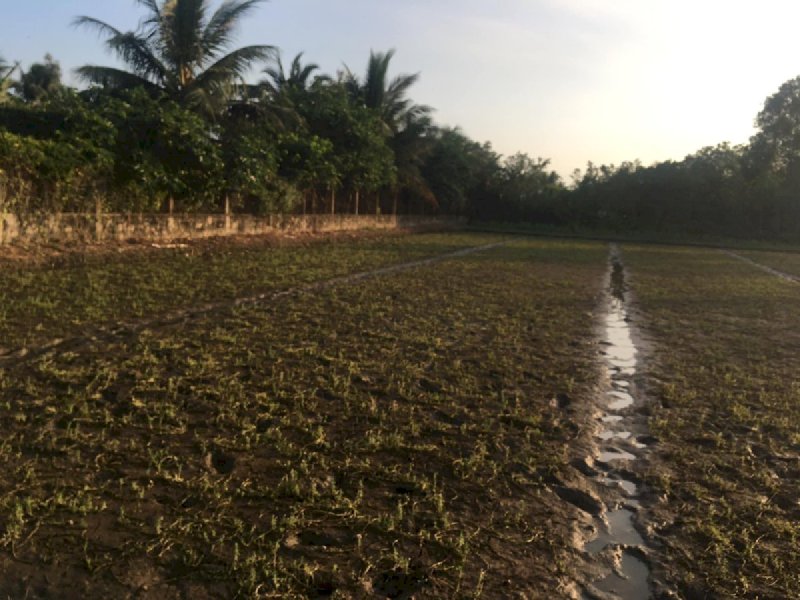 3công vườn ấp Thân Đạo, Thân Cửu Nghĩa,Châu Thành,Tiền Giang