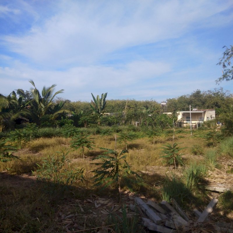 Bán 6000m2 đất vườn ở Bàu Bàng, Bình Dương , thích hợp nghỉ dưỡng hoặc xây kho xưởng