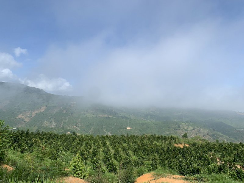 21 hecta đất vườn thich1 hợp nghỉ dưỡng , làm trang trại ở xã Lộc Nam , huyện Bảo Lâm, Lâm Đồng