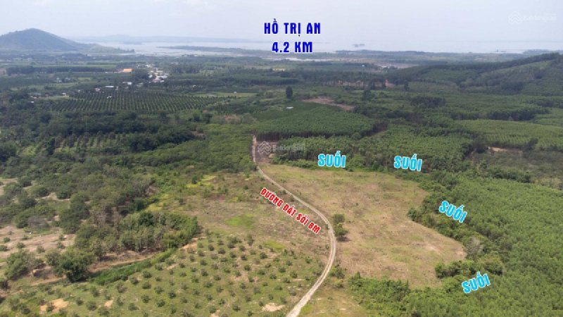 Bán đất xào view suối tại xã Thanh Sơn, Định Quán, Đồng Nai diện tích 1,000m2 giá rẻ