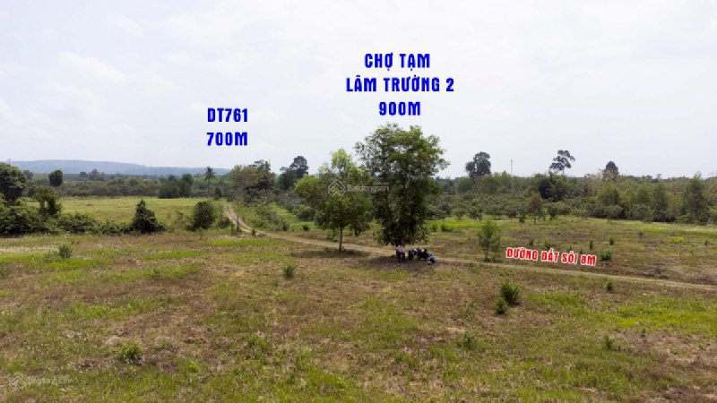 Bán đất xào view suối tại xã Thanh Sơn, Định Quán, Đồng Nai diện tích 1,000m2 giá rẻ