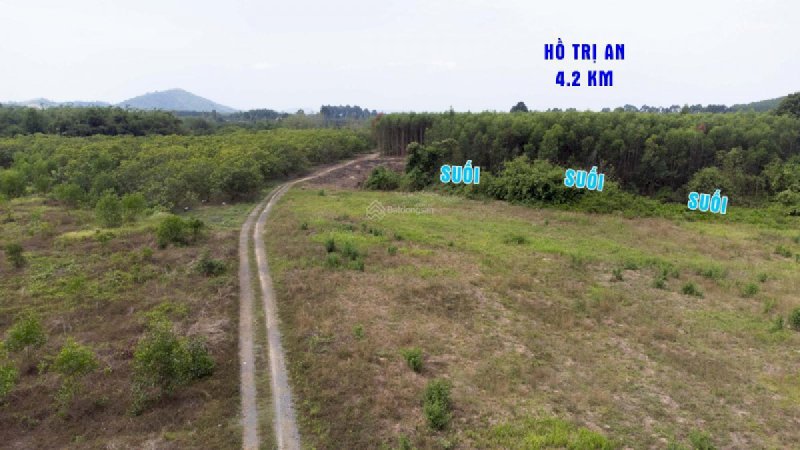 Bán đất xào view suối tại xã Thanh Sơn, Định Quán, Đồng Nai diện tích 1,000m2 giá rẻ