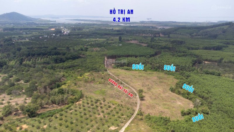 Cần Bán 2000m2 (2 Sào) View Suối Tại Xã Thanh Sơn - Định Quán - Đồng Nai Giá Rẻ