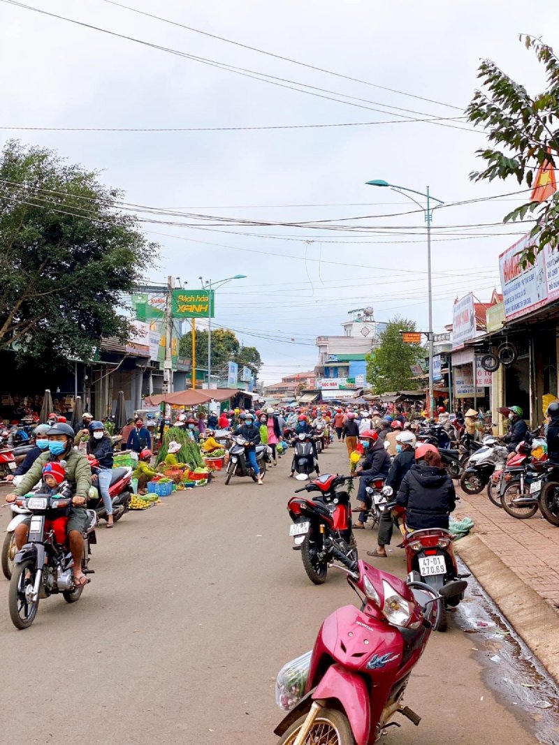 Chủ em cần bán 3ha3 đất trồng hơn 500 cây sầu riêng và nhiều cây ăn trái khác đã thu hoạch tại Xã EaHiao, Huyện EaHleo, Tỉnh ĐakLak