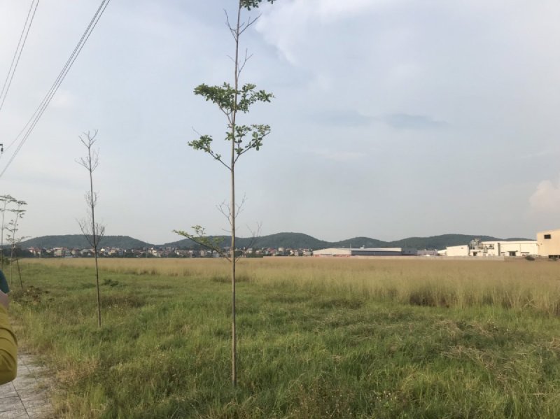 Bán lô đất 13.000m2 KCN Quế Võ 2, bàn giao hạ tầng ngay.
