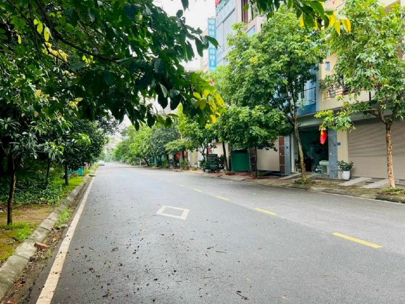 Bán đất mặt đường Ngô Văn Sở, Tây Nam Cường, TP HD, 62.67m2, mt 5m, đường 16.5m
